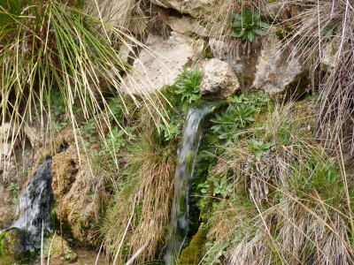 Fuente los Berros - imagen 5