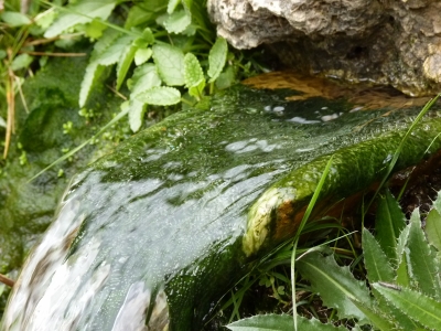 Fuente los Berros - imagen 7