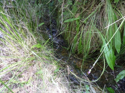 Fuente de Cañá el Endrino - imagen 2