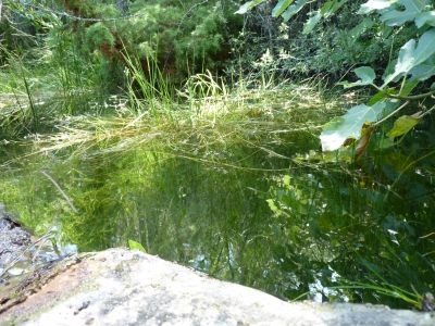 Fuente de Cañá el Endrino - imagen 5