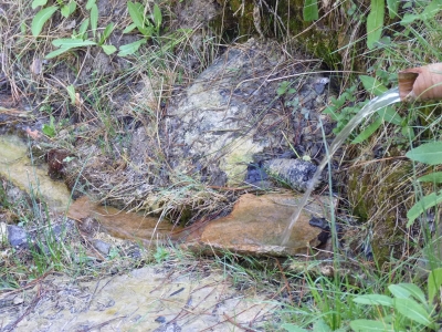 Fuente de Cañá Zariega - imagen 2