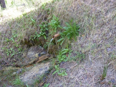 Fuente de Cañá Zariega - imagen 5