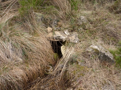 Fuente del Ebrillejo - imagen 1