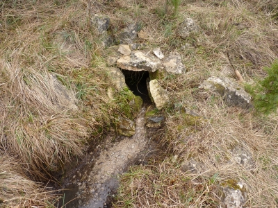 Fuente del Ebrillejo - imagen 2