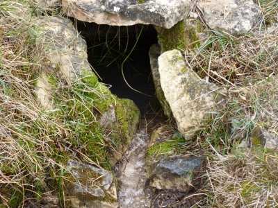 Fuente del Ebrillejo - imagen 3