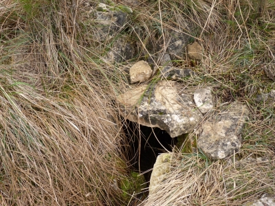 Fuente del Ebrillejo - imagen 4
