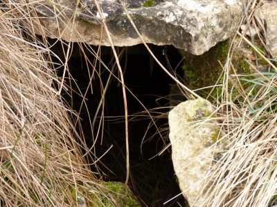 Fuente del Ebrillejo - imagen 5