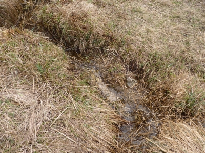 Fuente del Ebrillejo - imagen 6