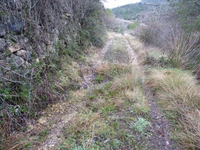 Fuente Fría - imagen 5