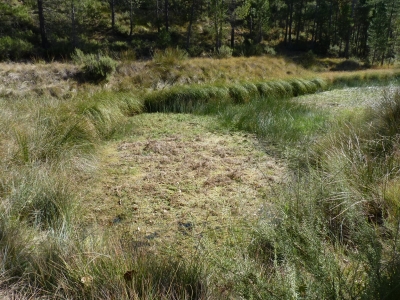 Las Fuentes I - imagen 1