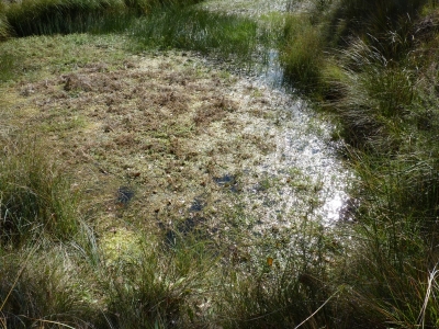 Las Fuentes I - imagen 2