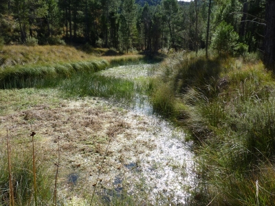 Las Fuentes I - imagen 3
