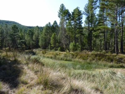 Las Fuentes I - imagen 7