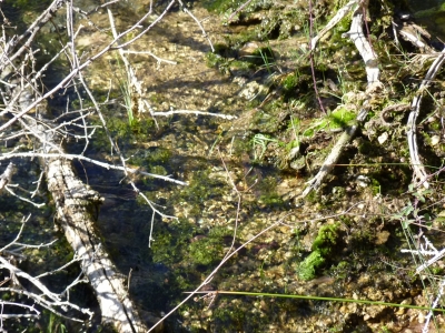 Las Fuentes II - imagen 4