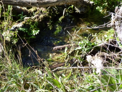 Las Fuentes II - imagen 5