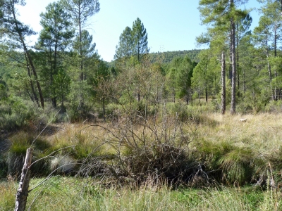 Las Fuentes II - imagen 6