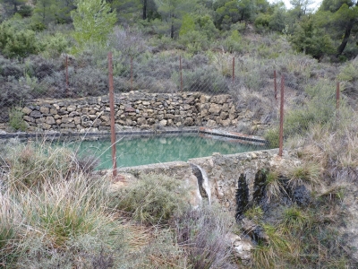 Fuente del Llano de las Salinas - imagen 1