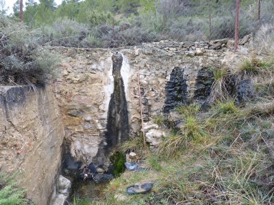 Fuente del Llano de las Salinas - imagen 3
