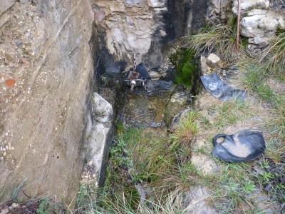 Fuente del Llano de las Salinas - imagen 4