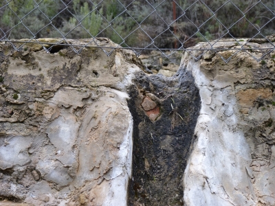 Fuente del Llano de las Salinas - imagen 5