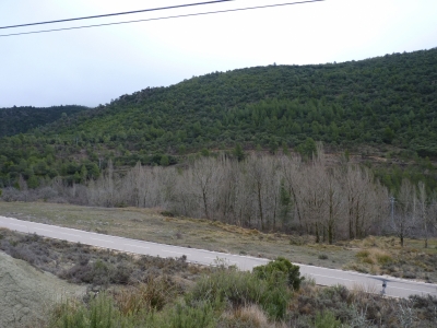 Fuente del Llano de las Salinas - imagen 6