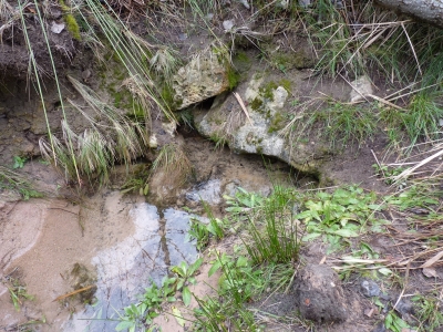 Fuente Lorenzo - imagen 1