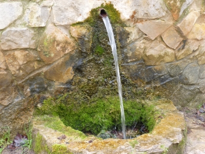 Fuente el Pico, de abajo - imagen 2