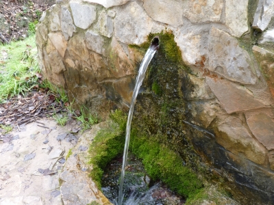 Fuente el Pico, de abajo - imagen 3