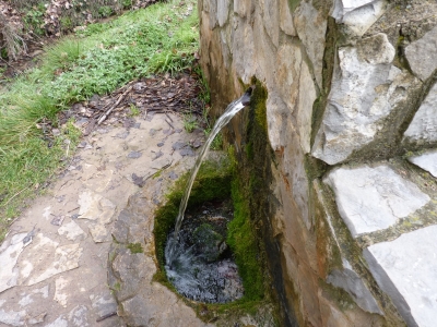 Fuente el Pico, de abajo - imagen 4