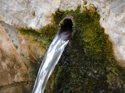 Fuente el Pico, de abajo - imagen 5