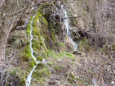 Fuente el Pico, de abajo - imagen 8