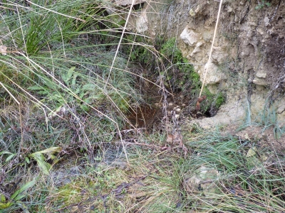 Fuente el Pico, de arriba - imagen 2