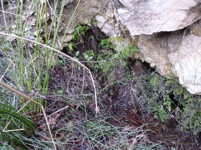Fuente el Pico, de arriba - imagen 3