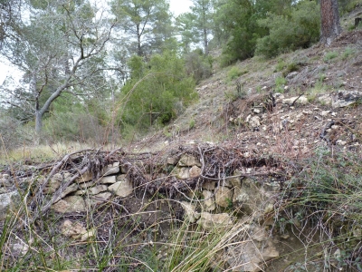 Fuente el Pico, de arriba - imagen 5