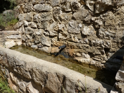 Fuente del Rebollo - imagen 3