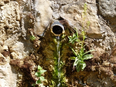 Fuente del Rebollo - imagen 5