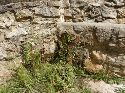 Fuente del Rebollo - imagen 6