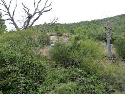 Fuente la Salobreja - imagen 5