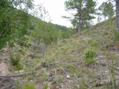 Fuente la Salobreja - imagen 6