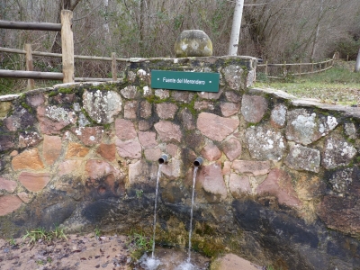 Fuente de la Umbría de las Balsas - imagen 1