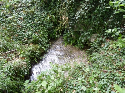 Fuente de la Viña del Agua - imagen 1