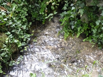 Fuente de la Viña del Agua - imagen 2
