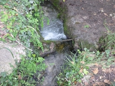 Fuente de la Viña del Agua - imagen 4