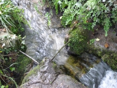 Fuente de la Viña del Agua - imagen 5