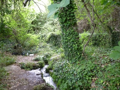 Fuente de la Viña del Agua - imagen 7