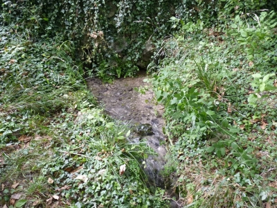 Fuente de la Viña del Agua - imagen 8
