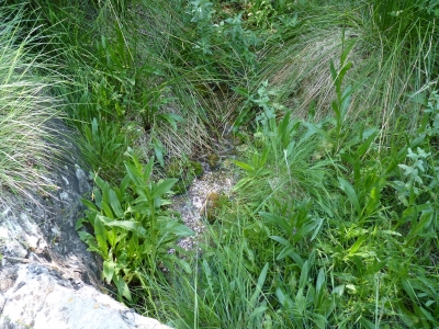 Fuente de la Zarza II - imagen 3