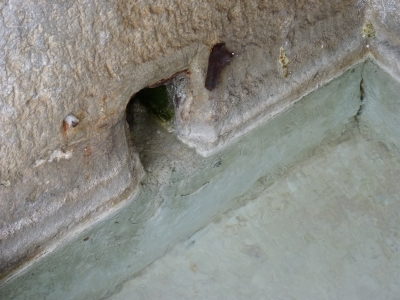 Fuente de Cornuda - imagen 8