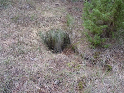 Fuente del Culo - imagen 1