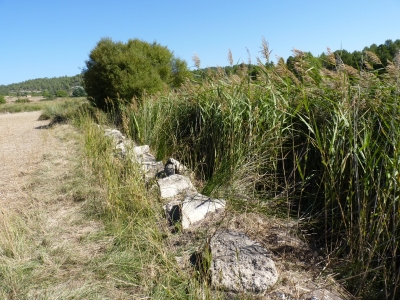 Fuente del Cura - imagen 1